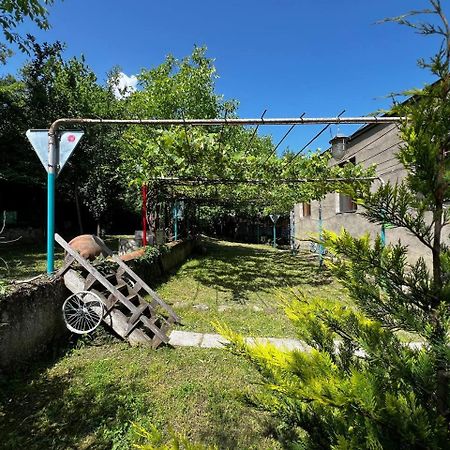 Qilimcha'S Guesthouse-Art Museum Telavi Esterno foto