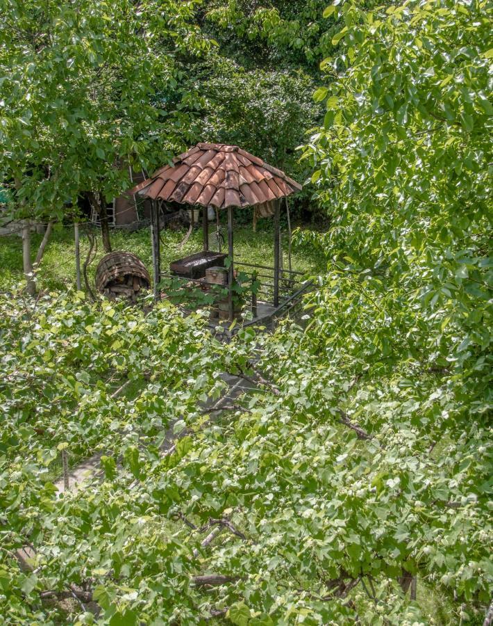 Qilimcha'S Guesthouse-Art Museum Telavi Esterno foto